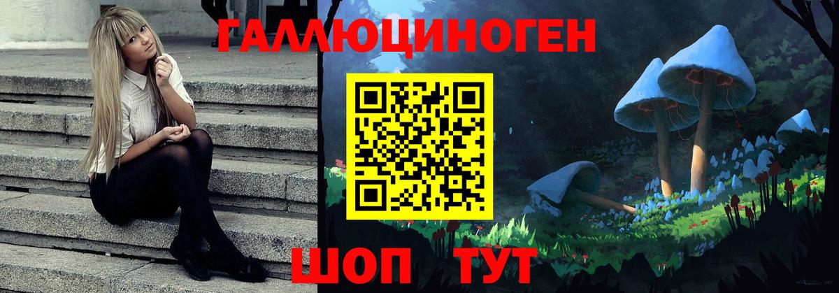 купить наркотики цена  Псилоцибиновые грибы Psilocybe  Вход с VPN  Шелехов  Галлюциногенные грибы мухоморы 